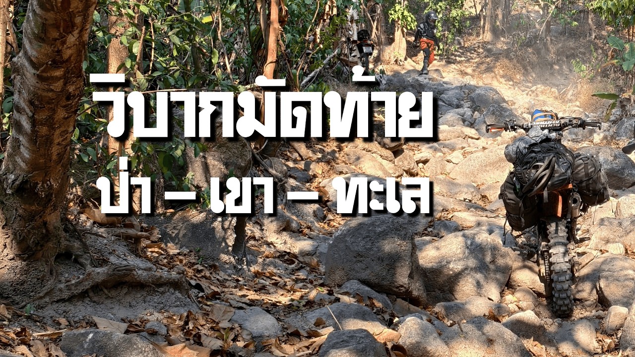 ป่า–เขา–ทะเล | วิบากมัดท้าย กางเต็นท์ 3 คืน ระยองในทริปเดียว