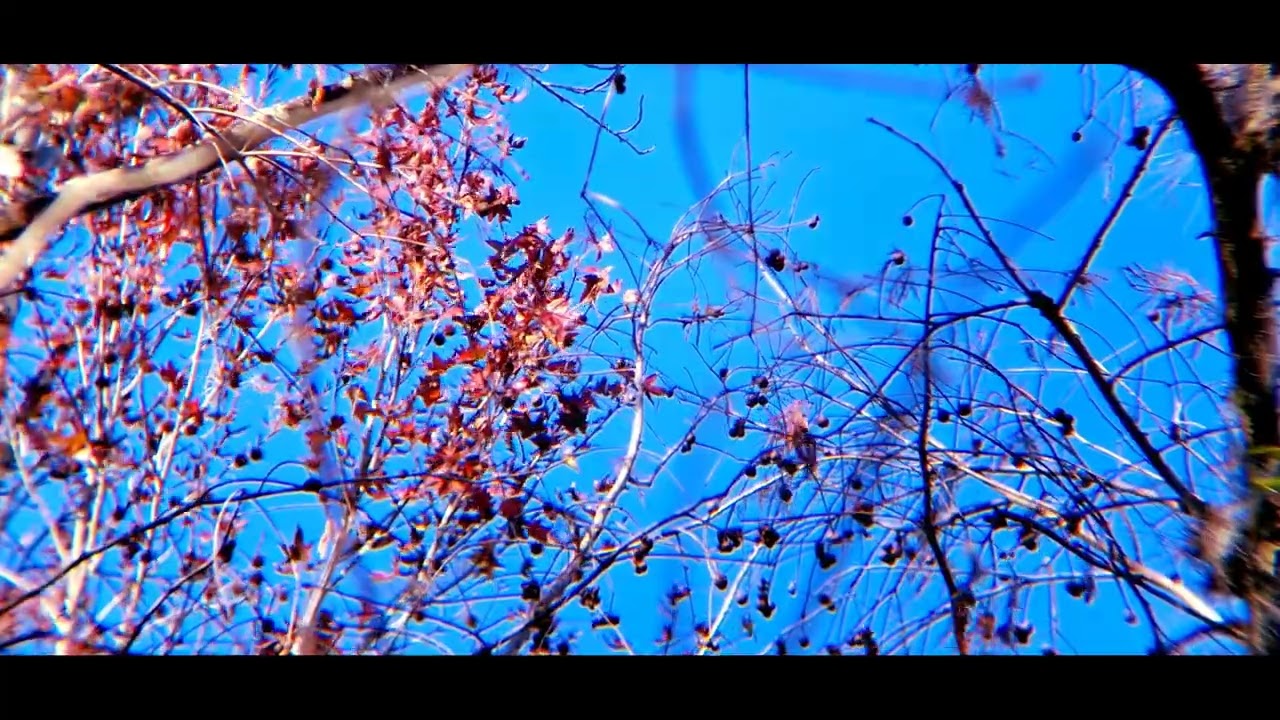 ▲{½hour}Continuous DJ Mix △ Chill Music △EP0122 Ze.rhythmZ▲