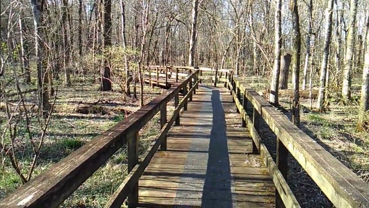 Hike Summary: Natchez Trace National Scenic Trail near Tupelo, Mississippi