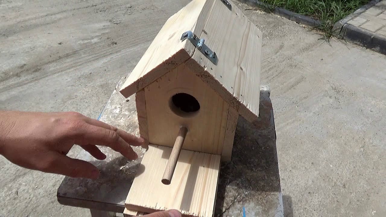 How to build a birdhouse or a bird nest from a plank of wood