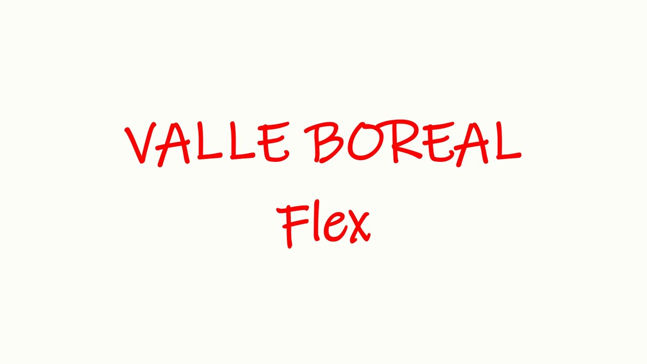 Rooklets - Flex (Visualizer)