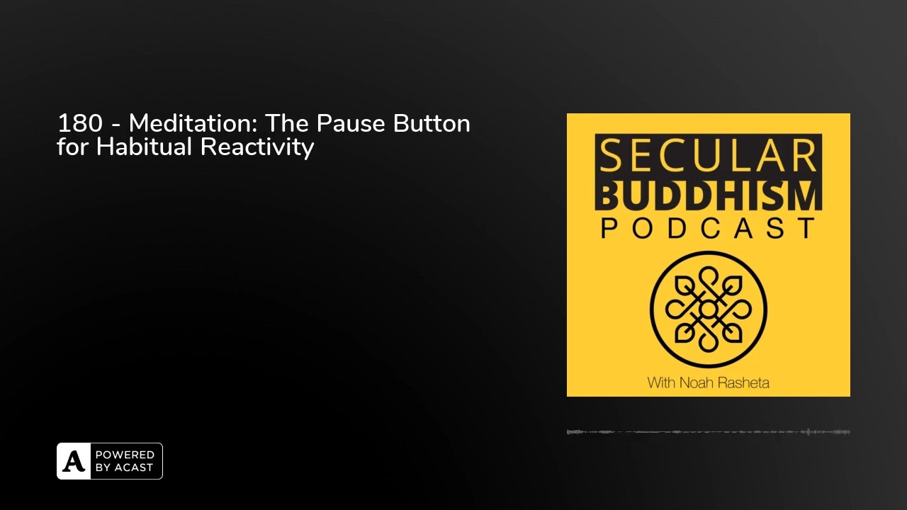 180 - Meditation: The Pause Button for Habitual Reactivity