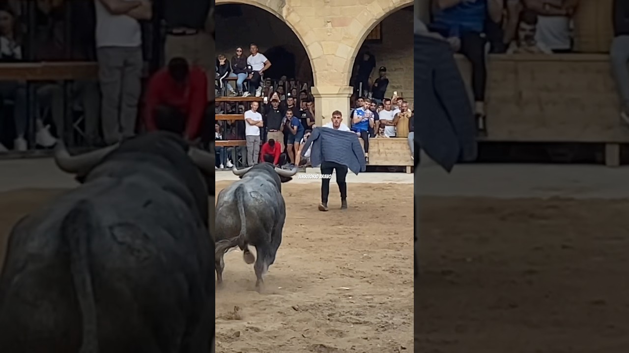 Bonito quiebro al bravo toro de Adolfo Mart&iacute;n