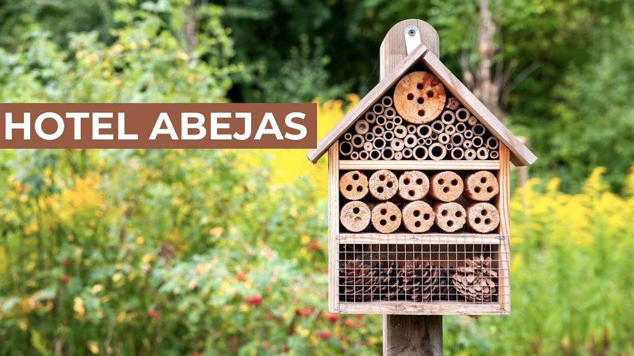 ¿Cómo crear un HOTEL para ABEJAS en tu HUERTO?🐝