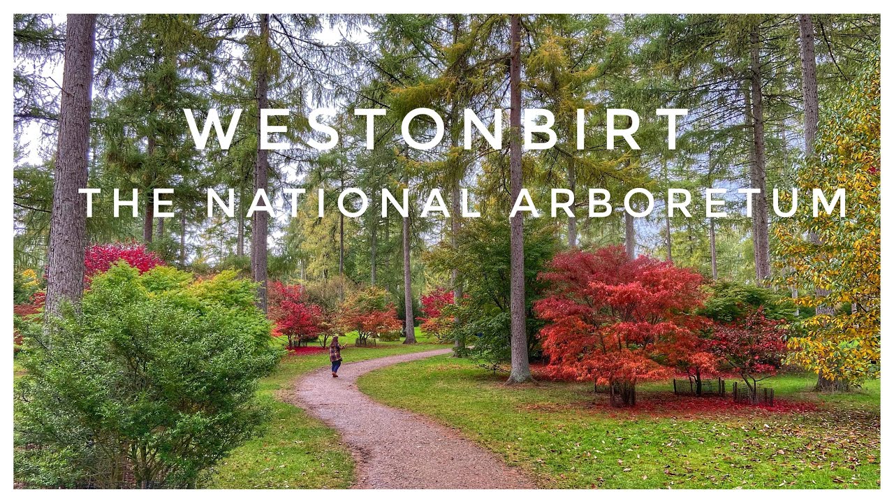 Westonbirt - The National Arboretum (Autumn/Fall 2022)