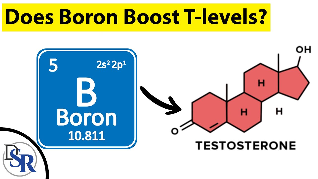 Can Boron Really Work For Testosterone Levels & Erections?