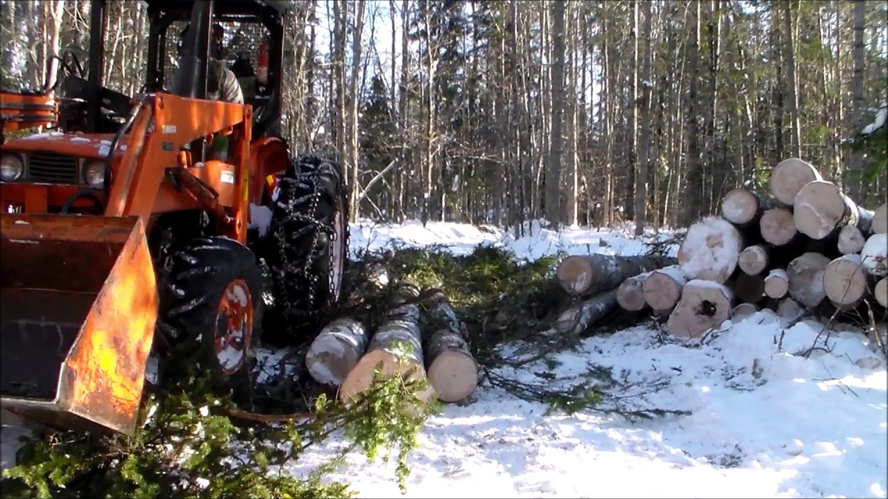 Logging with a Farm Tractor in the Boreal Forest - Sub-zero Temperatures Make Delimbing Easier