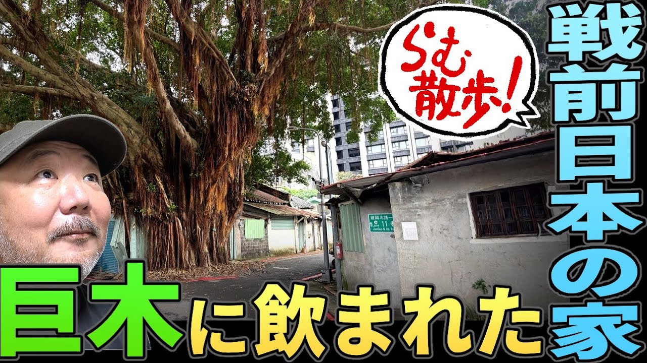 【らむ散歩】巨木に飲まれた日本統治時代の家【台湾・廃墟】
