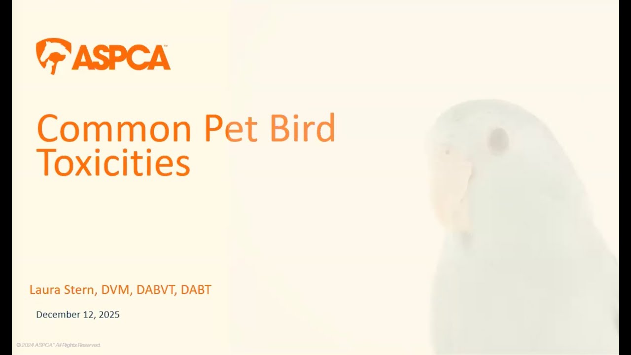 Pet Bird Toxicities with Laura Stern, DVM, DABVT, DABT, ASPCA Animal Poison Control Center