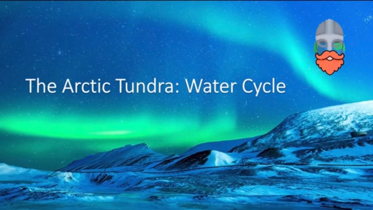 Arctic Tundra - Water Cycle