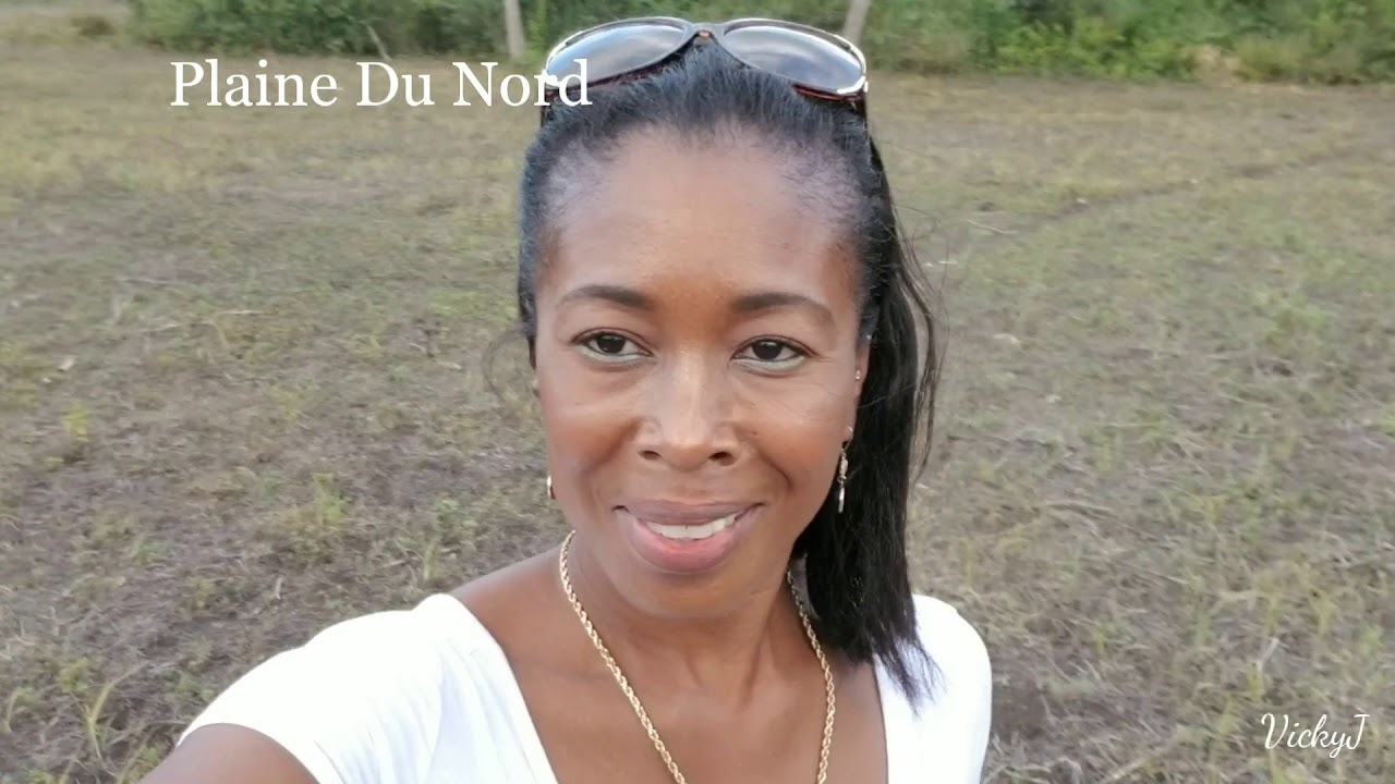 Haiti Vlog | Cap Haitien| Citadel, Labadee | Sight and Scenes | VickyJ