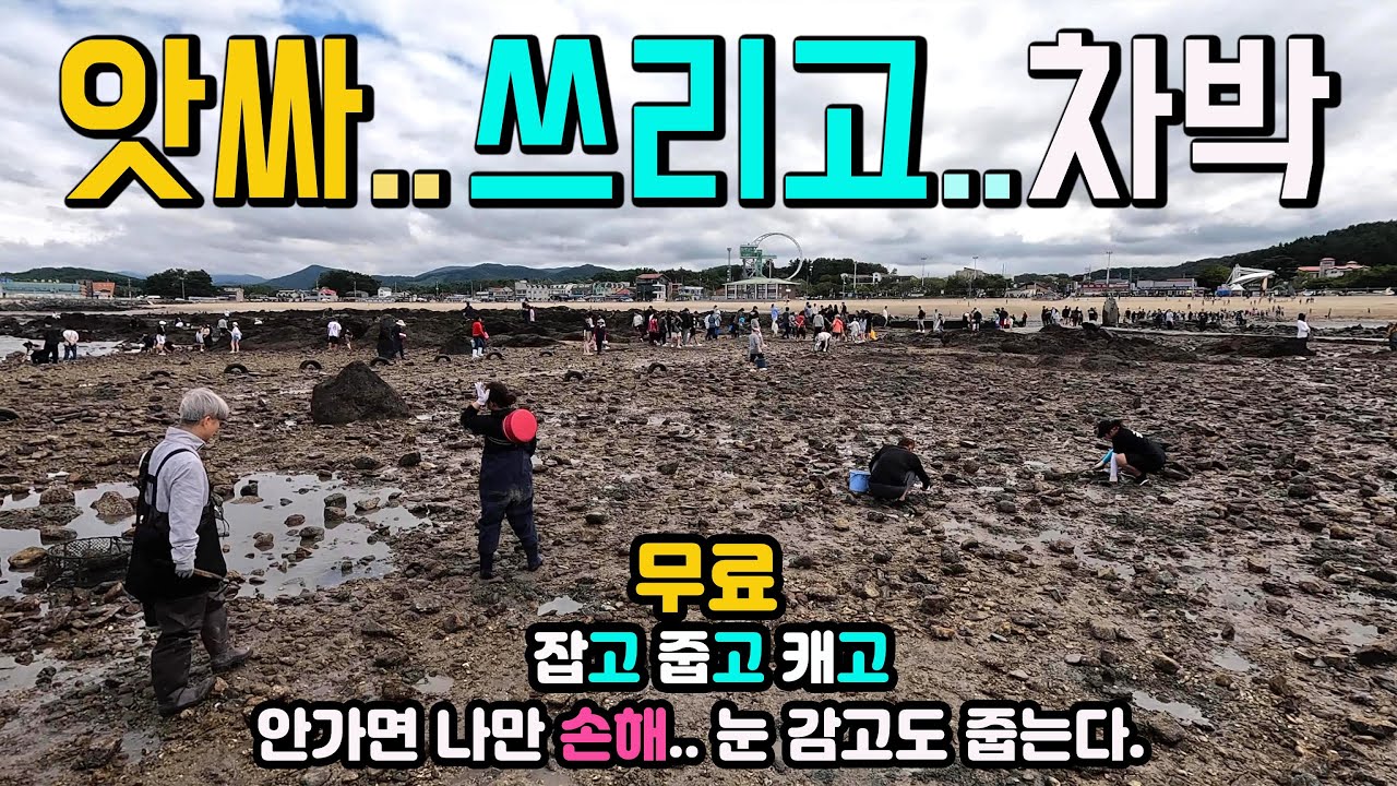 보령 무창포해수욕장 바다가 열려 난리난 캠핑카 차박 여행 해루질 천국, 잡고 줍고 캐고, 대형 무료 주차장 5개, 수세식화장실, 오토캠핑장 2만5천원