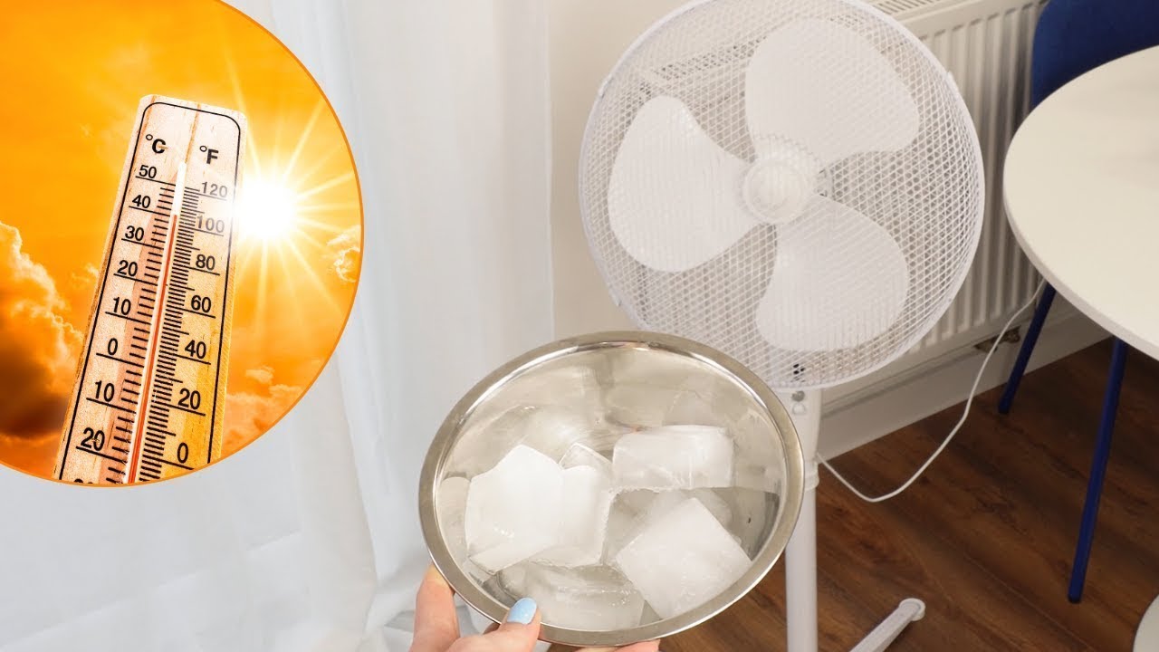 Tired of the Heat? Here&rsquo;s How to Cool Your Apartment in Summer Without Extra Costs