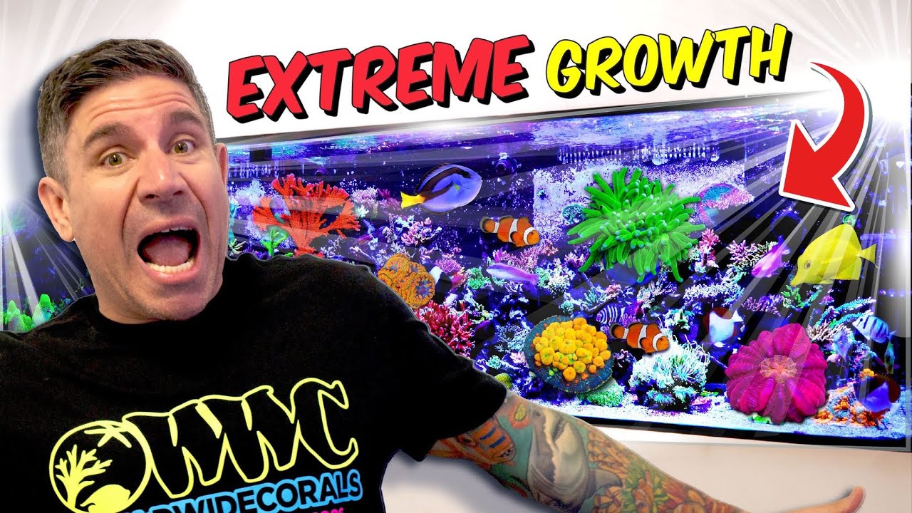 CRAZIEST Tank Crash Recovery!!! 🤯