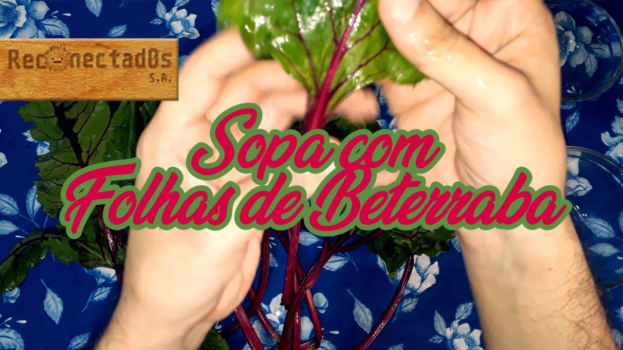 🍲Uma Sopa com Folhas de Beterraba 😋💦Em um videolog sobre alimenta&ccedil;&atilde;o e nutri&ccedil;&atilde;o. - ASMR, aula? XD