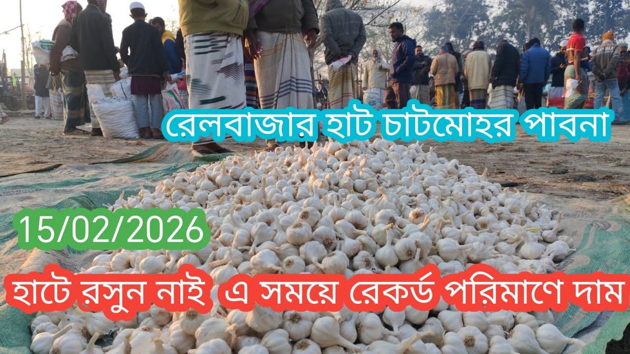15 February 2026 আজকের রসুনের বাজার দর। প্রচুর বাড়তি টান দাম রসুনের বাজারে। Garlic market price 