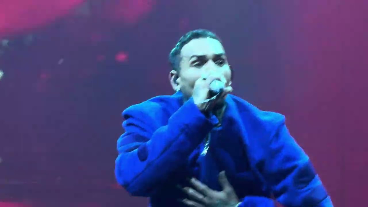 Chris Brown - Bruce Lee, Delusional, Liquor & Privacy (Live) 4K
