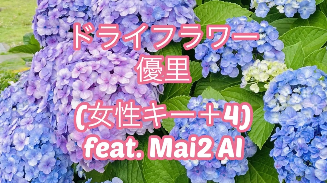 ドライフラワー　優里　(女性キー+4) feat.Mai2 AI【オリジナル音源】
