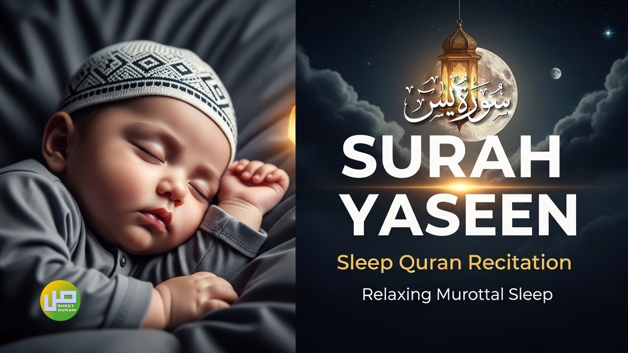 🌙 Surah Yasin Full Recitation for Deep Sleep | Peaceful Quran Audio for Restful Nights | Sheet Quran