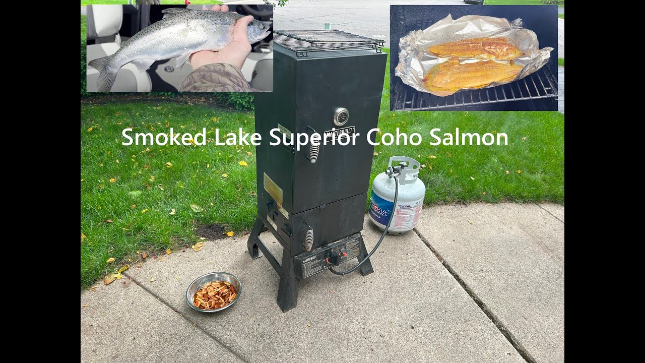 Smoked Lake Superior Coho Salmon #youtube #shorts #salmon #cooking #recipe #fishing #food #eating