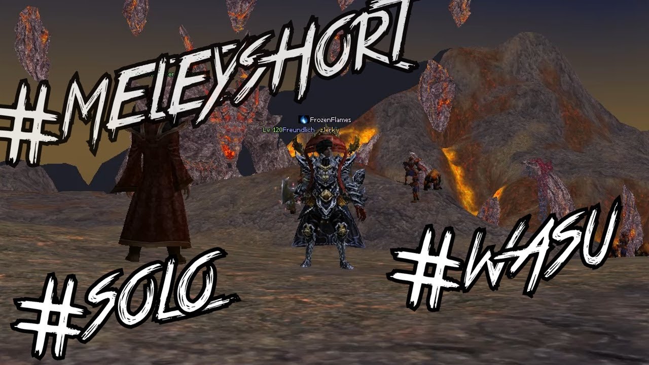 Metin2 DE | Genesis | Meleys Hort Solo | Wasu - Jerky
