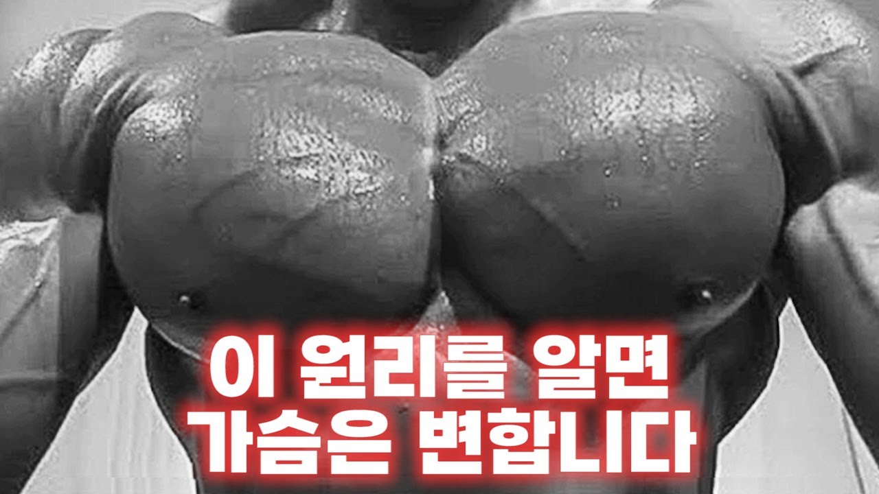 [시청자 초대 이벤트!] 초,중,상급자를 위한 가슴운동(중량늘리법, 볼륨감얻는법)