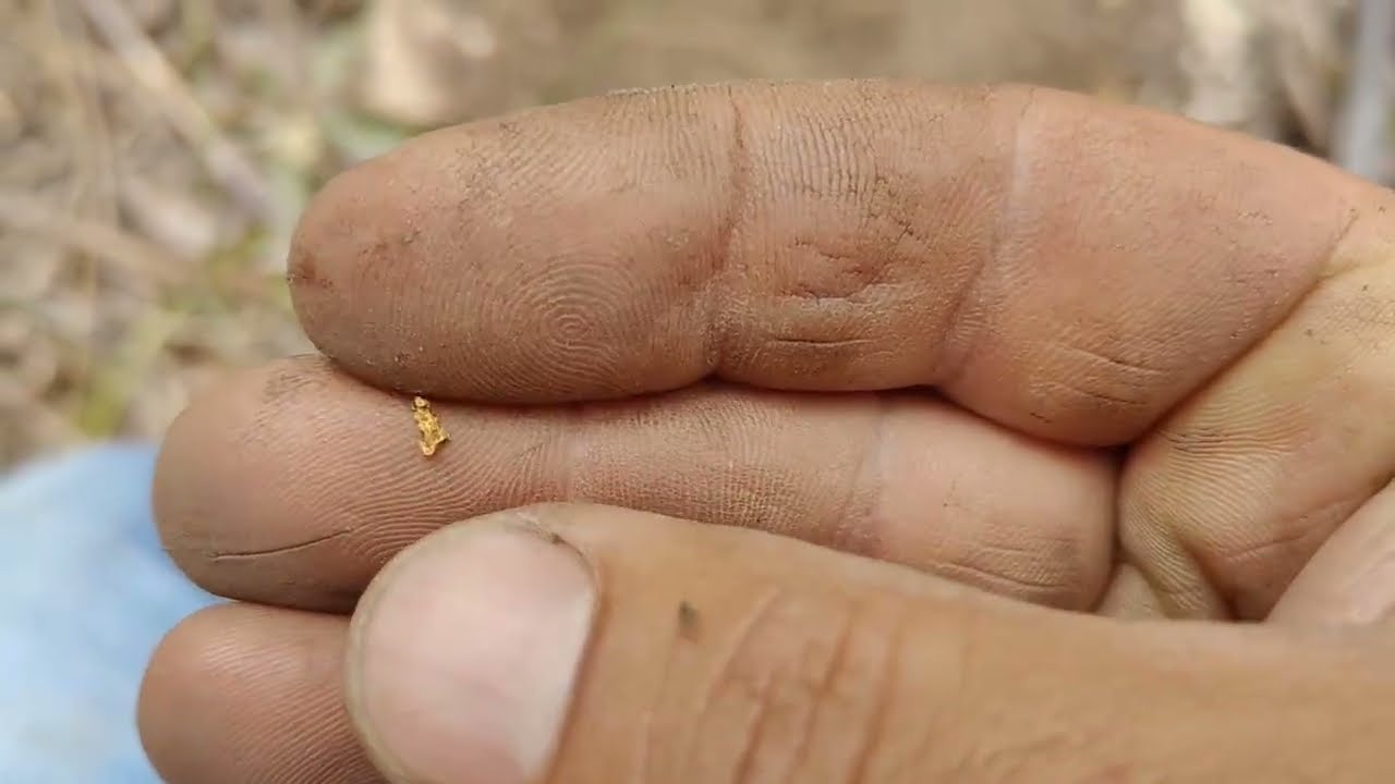 1° caçada de 2026! Uma mais linda que a outra. Achei pepitas de ouro com detector de metais na serra