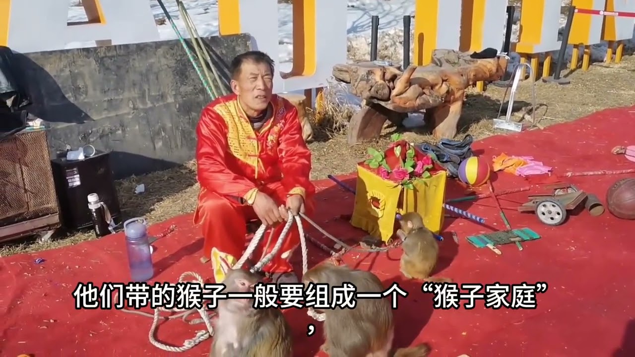 你不知道的耍猴人 #耍猴 #回忆 #科普 #涨知识