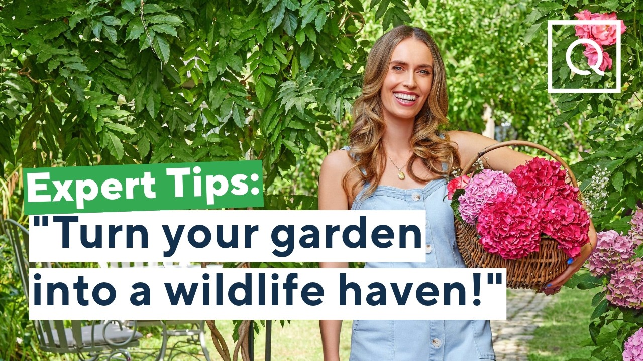 4 лучших способа привлечь диких животных в свой сад | QVCUK