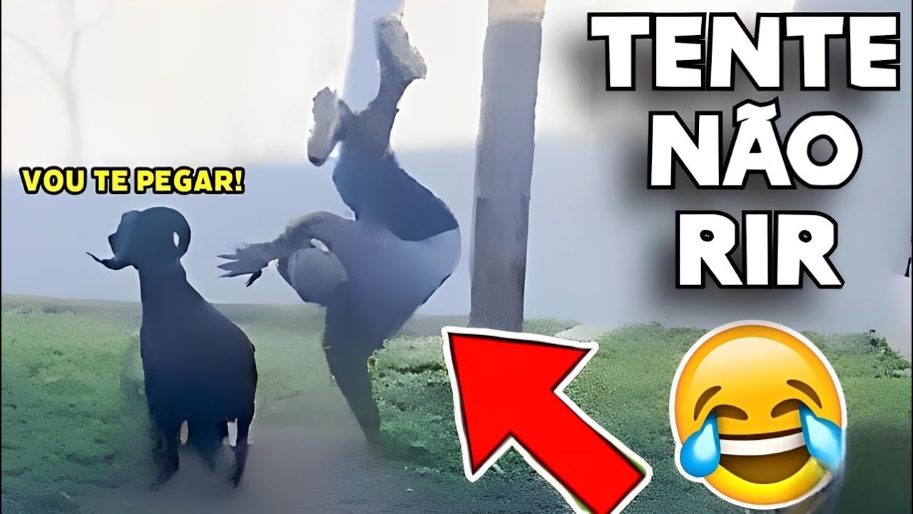 TENTE NÃO RIR 😂 OS MEMES MAIS ENGRAÇADOS DA INTERNET #videosengracados #tentenaorir #memes #comedia
