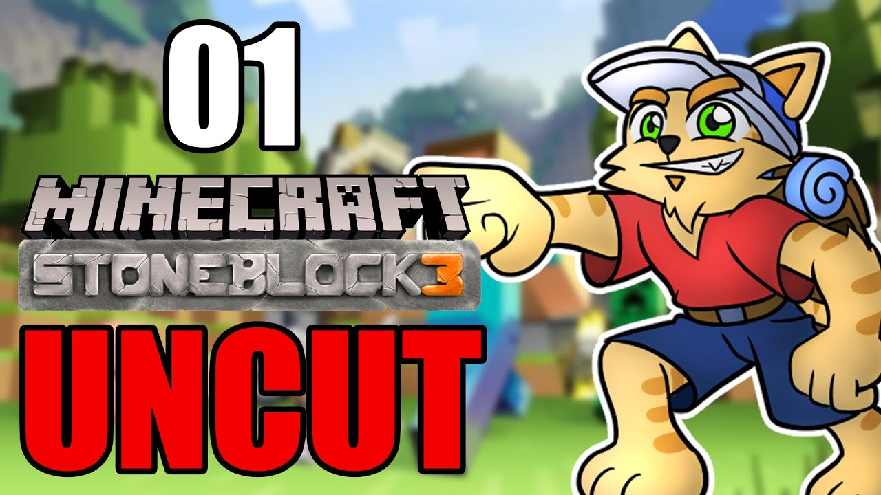 Stoneblock 3 #01 | FeineKatze vom 5.2.25