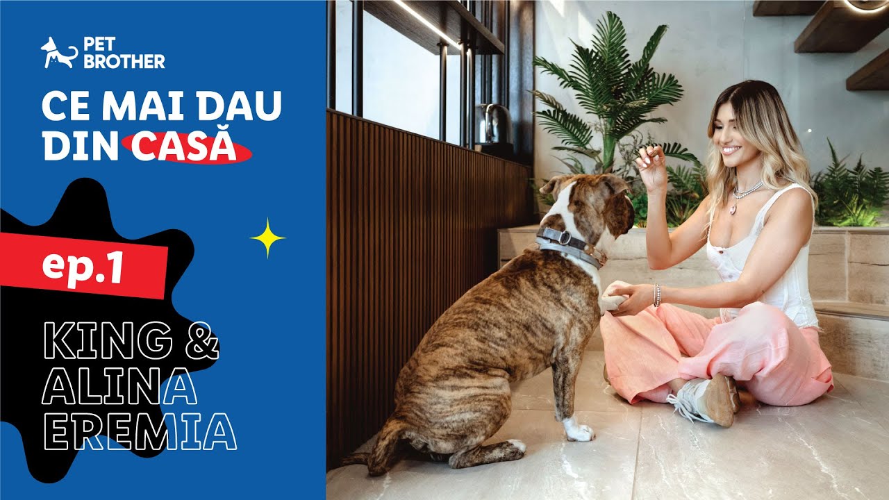 Pet Brother Sezon 3 • Episod 1 Alina Eremia si King