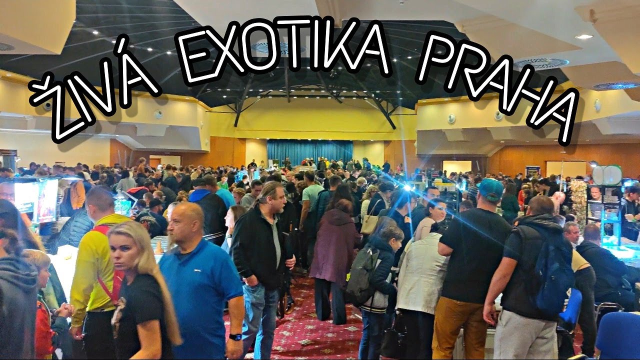Živá Exotika Praha 2022.10.22 | Egy cseh egzotikus börze bemutatása