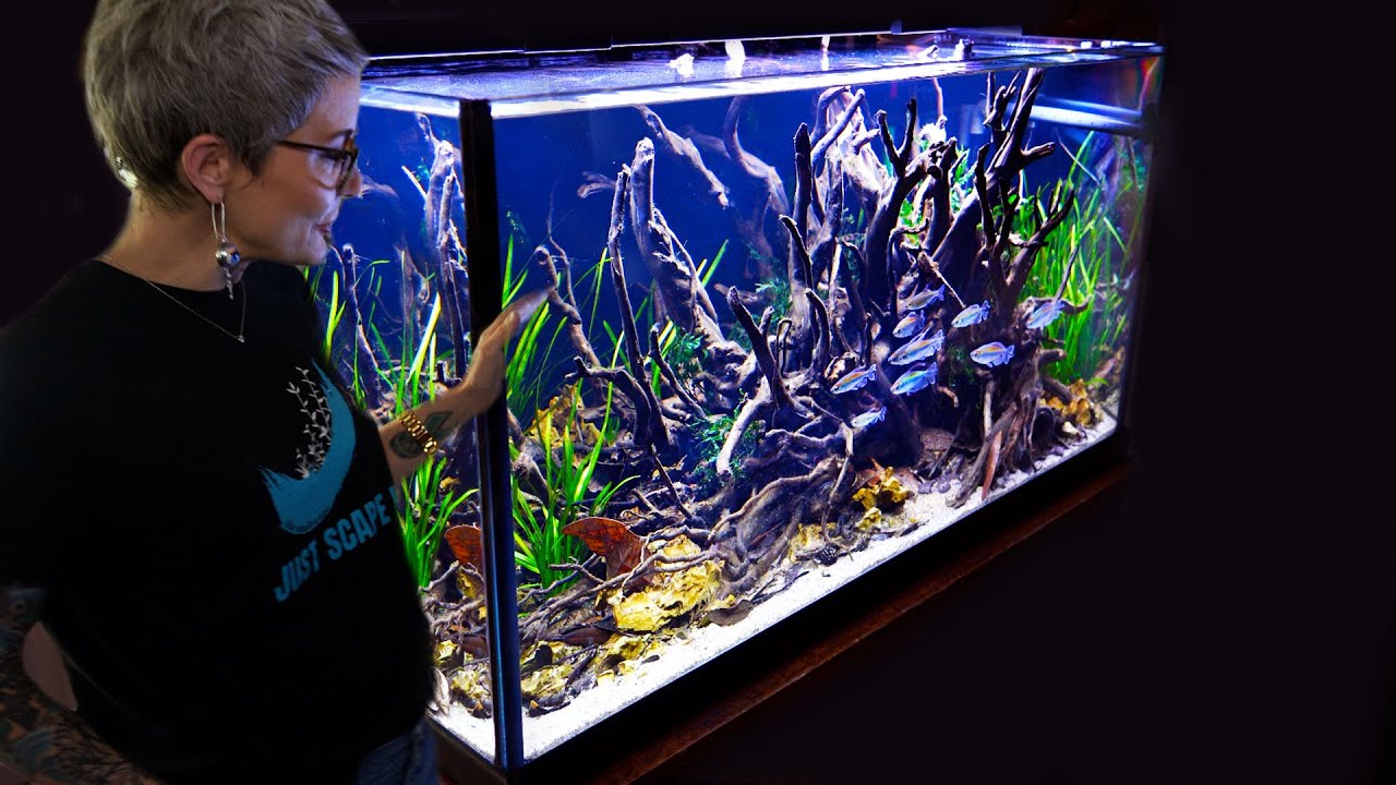 Award Winning Aquascaper Melanie Holmes Fish Room Tour!