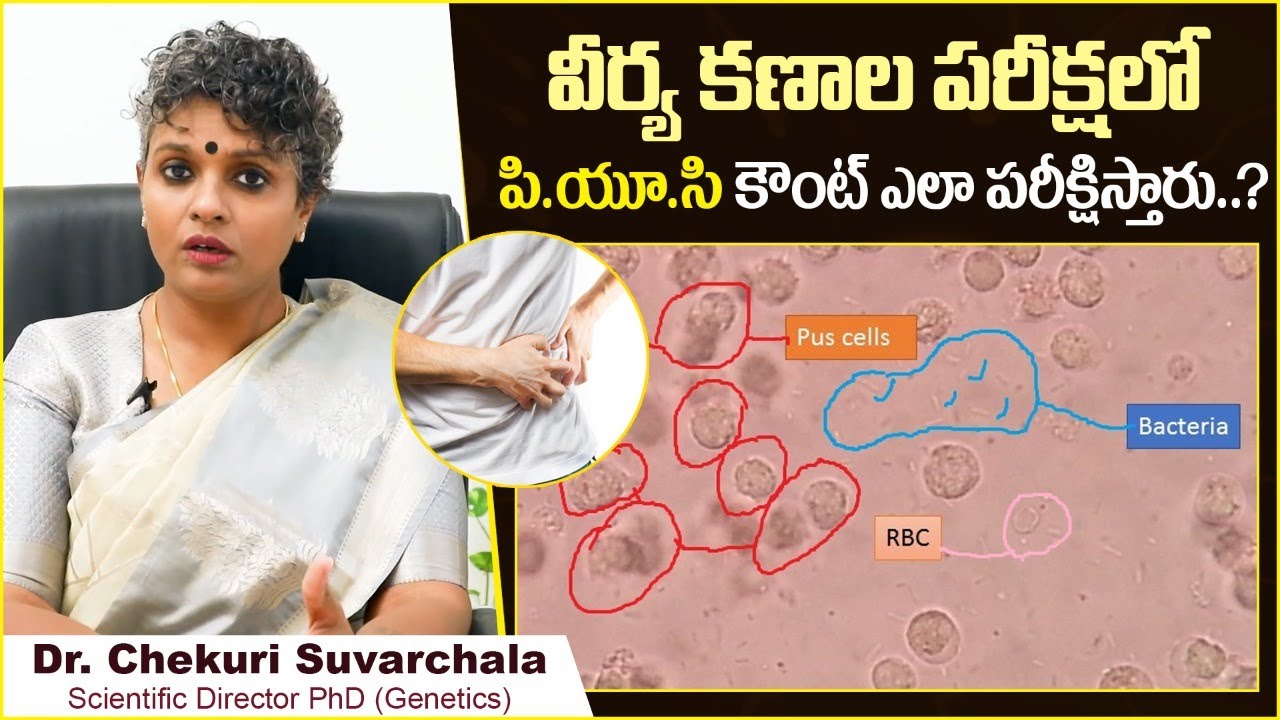 What Are Pus Cells? | How Pus Cells Affect Fertility | Dr C Suvarchala | Socialpost Health