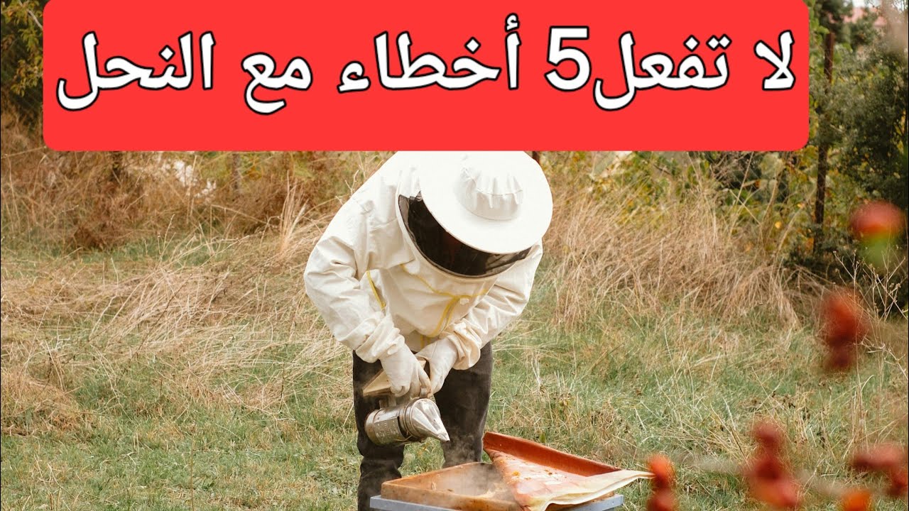٥ أخطاء يرتكبها النحال في بداية الربيع 😱 