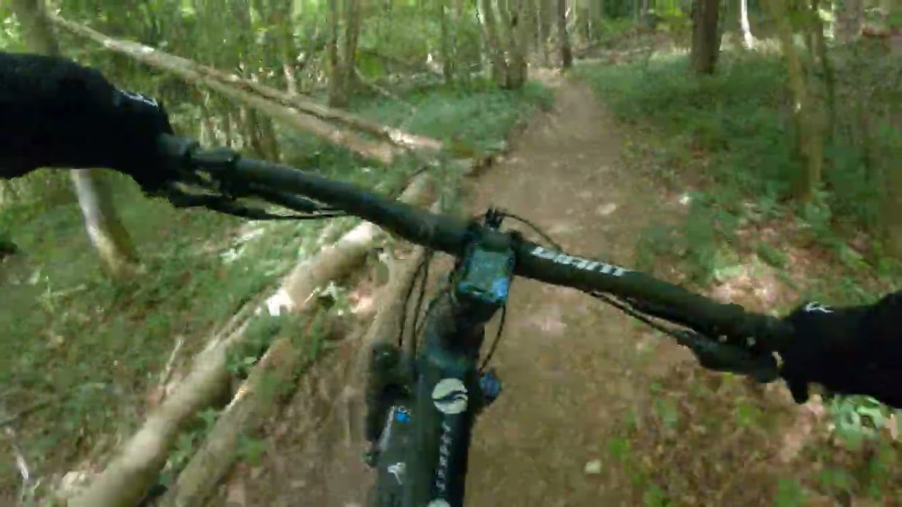 Covert Woods, Kent