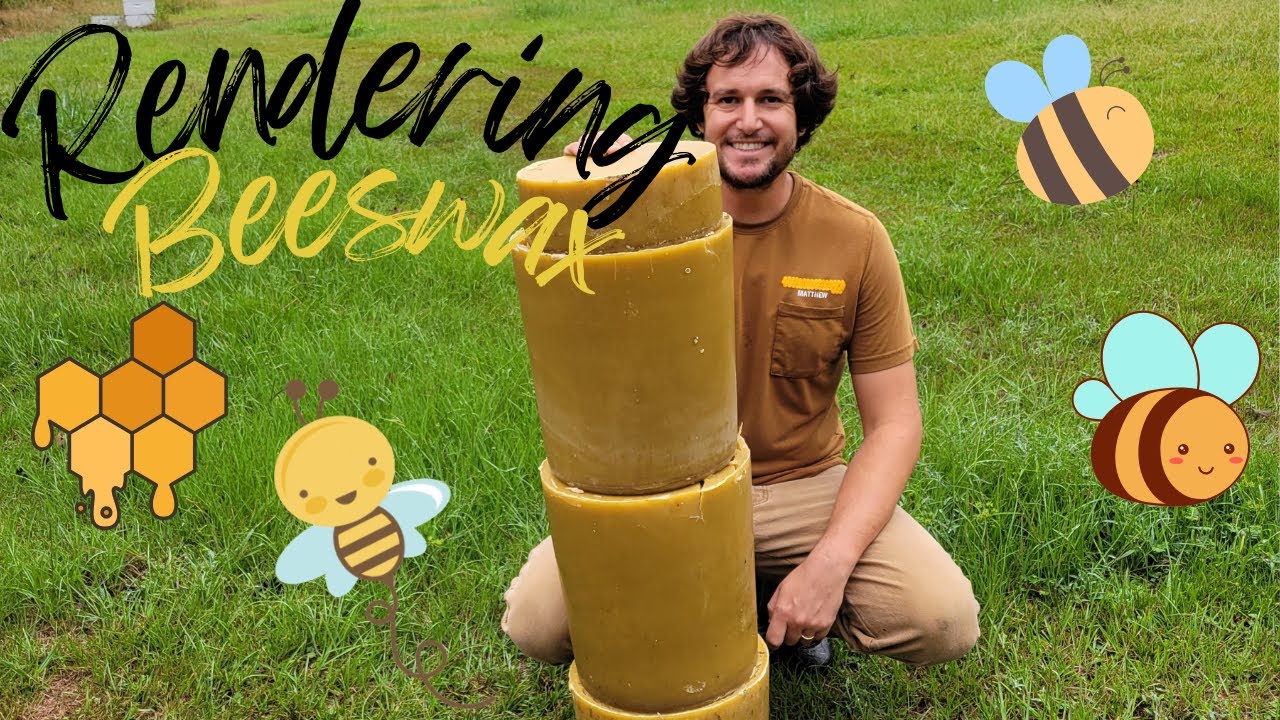 Rendering Beeswax