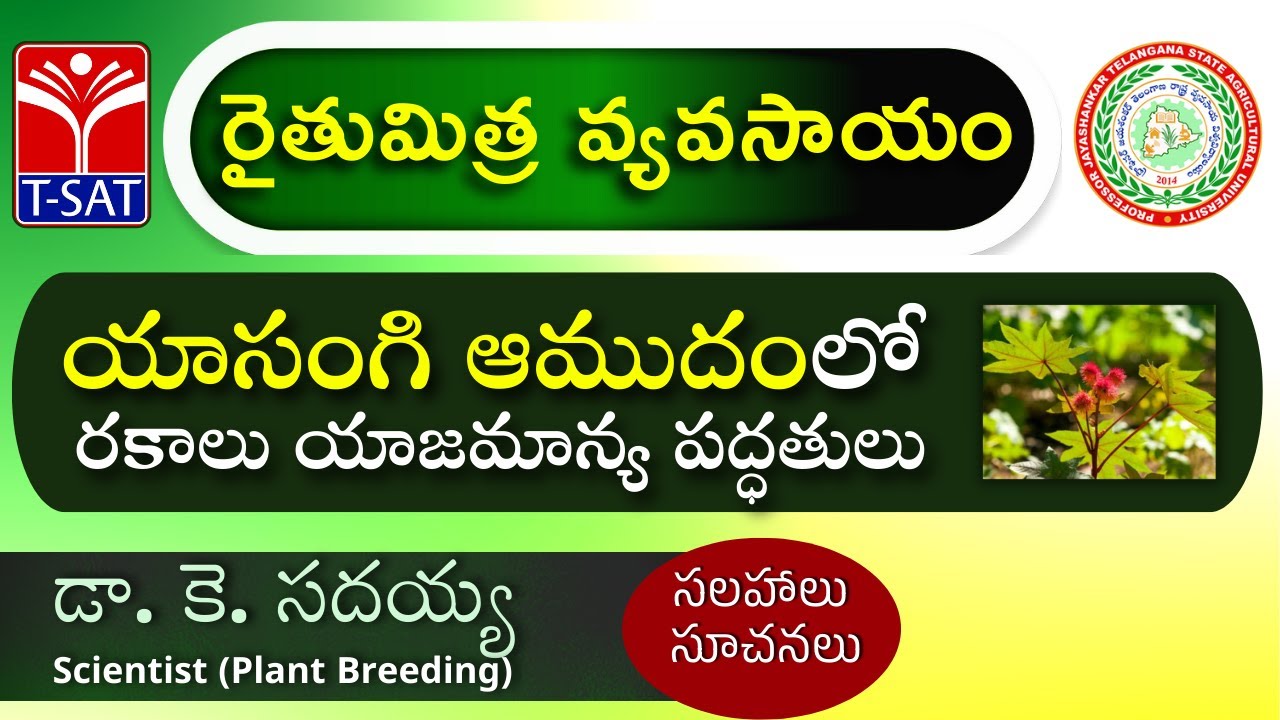 రైతుమిత్ర వ్యవసాయం (#LIVE )  | యాసంగి ఆముదంలో రకాలు - యాజమాన్య పద్ధతులు | డా. కె. సదయ్య, Scientist