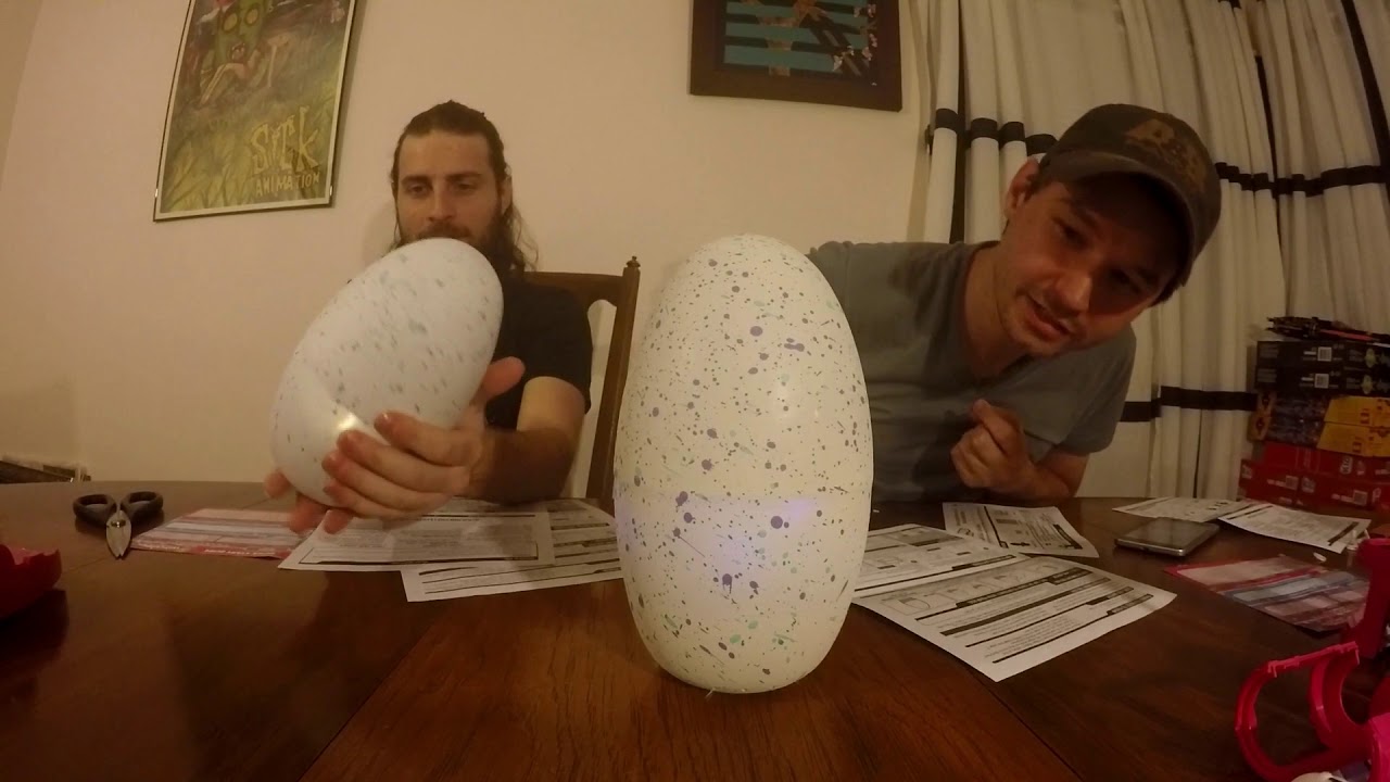 Episode 10 Hatchimals twins surprise egg hatching