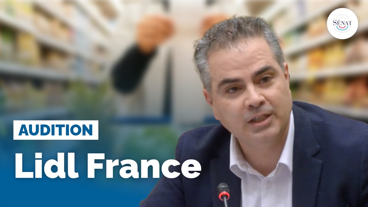 Marges de la grande distribution : audition des représentants de Lidl France