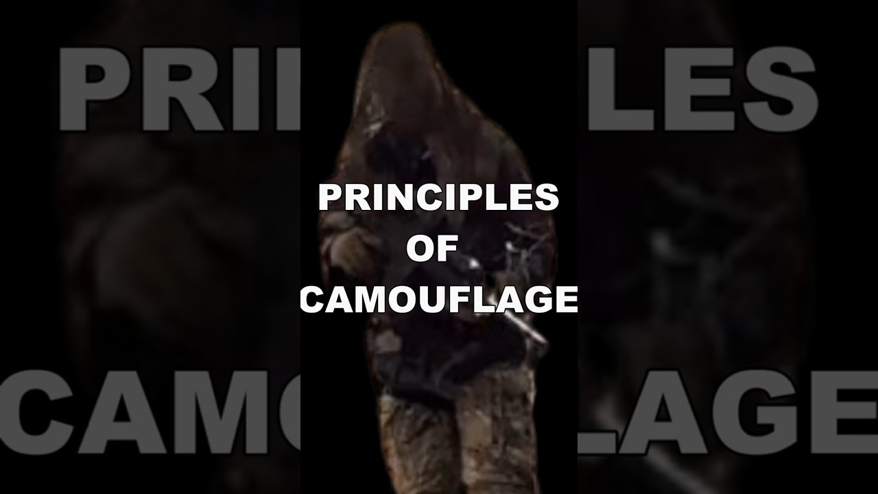 Principles of Camouflage #patrol #shorts