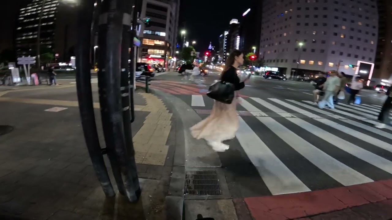 Night trip around Tokyo