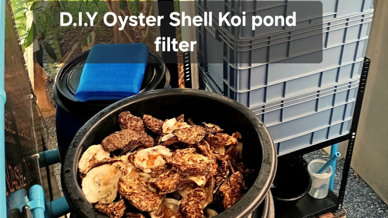 DIY oyster shell filter for my Koi pond