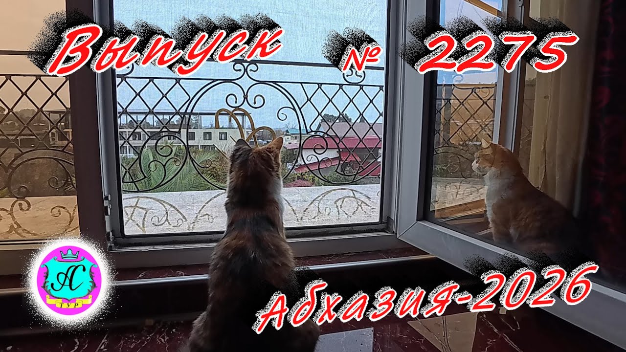 #Абхазия2026