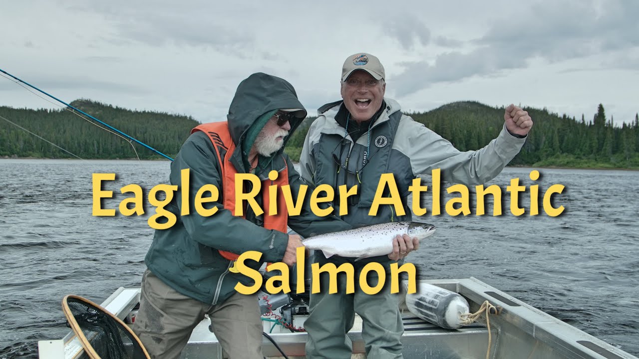 Pratt Falls - Salmon Heaven