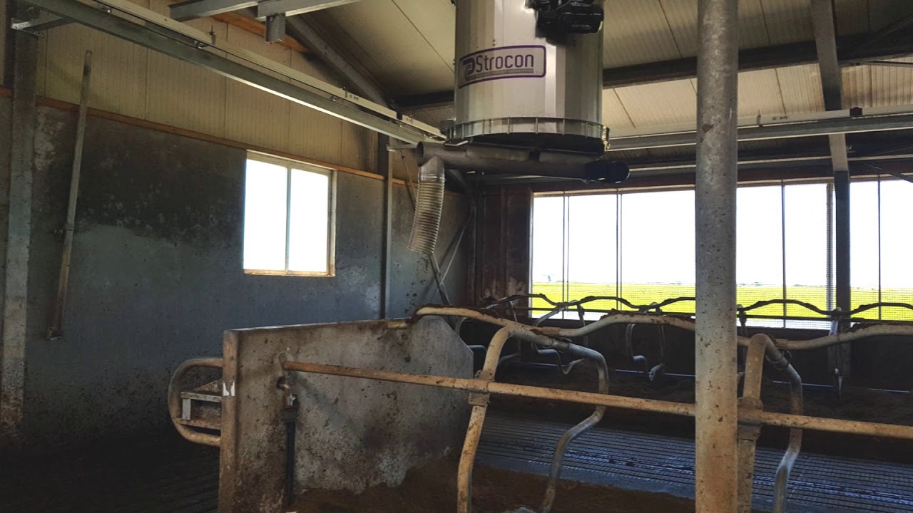 Cobra Easy Bed - Automatisch instrooien van ligboxen