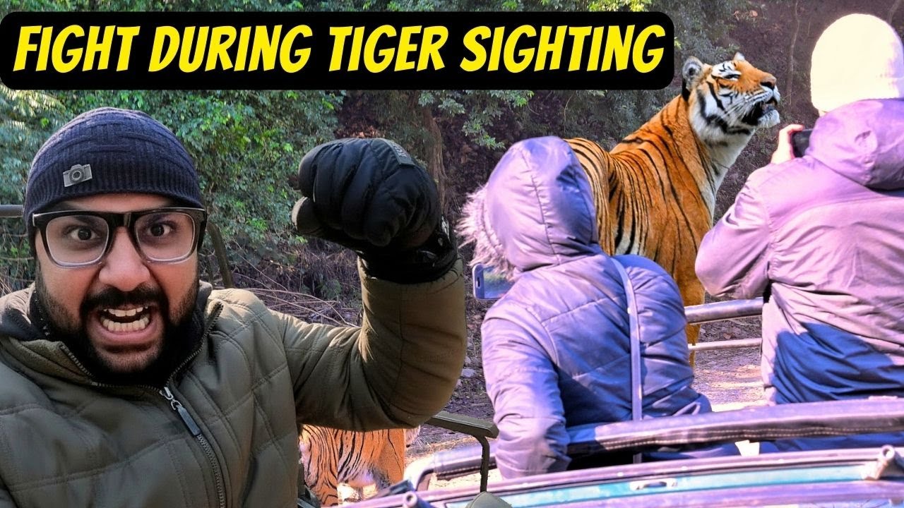 TIGER SIGHTING KE TIME HO GAYI LADAI | DHIKALA SAFARI | JIM CORBETT BEST ZONE
