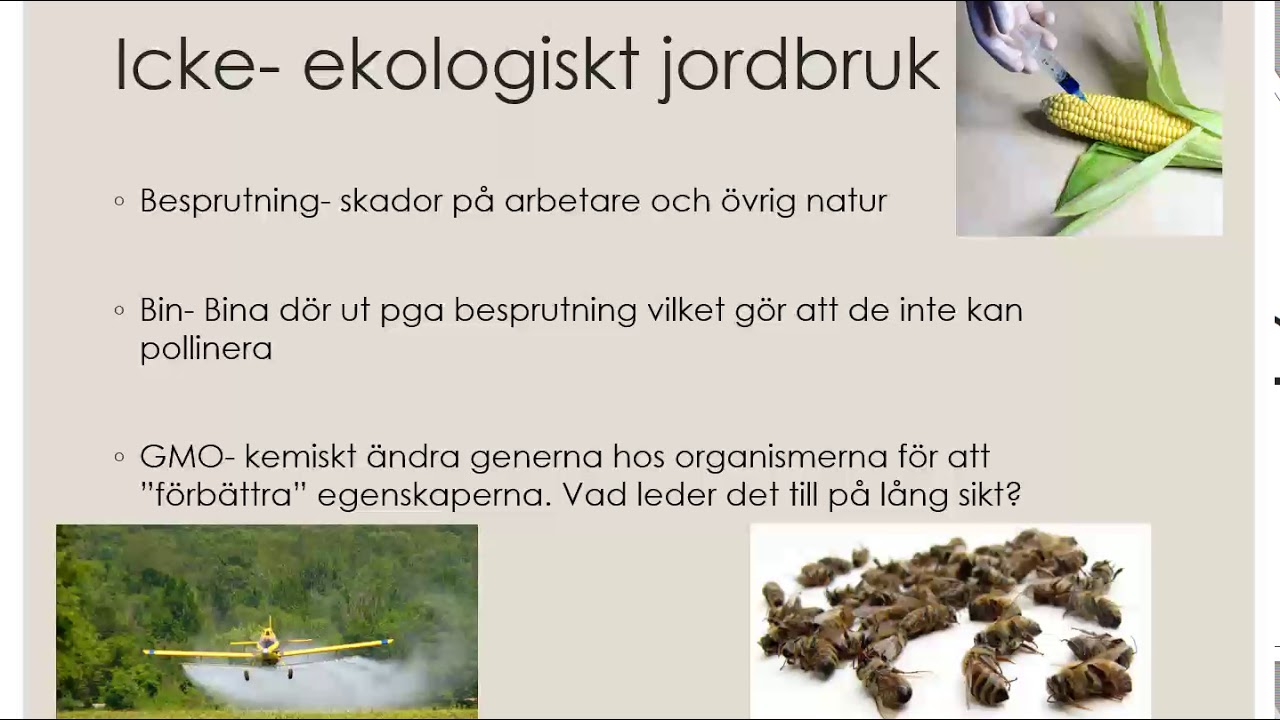 Livsmedel och miljö