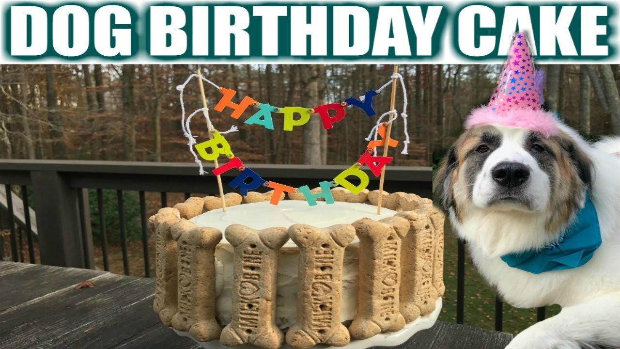DOG BIRTHDAY CAKE || Birthday Cake Edible for your pup!